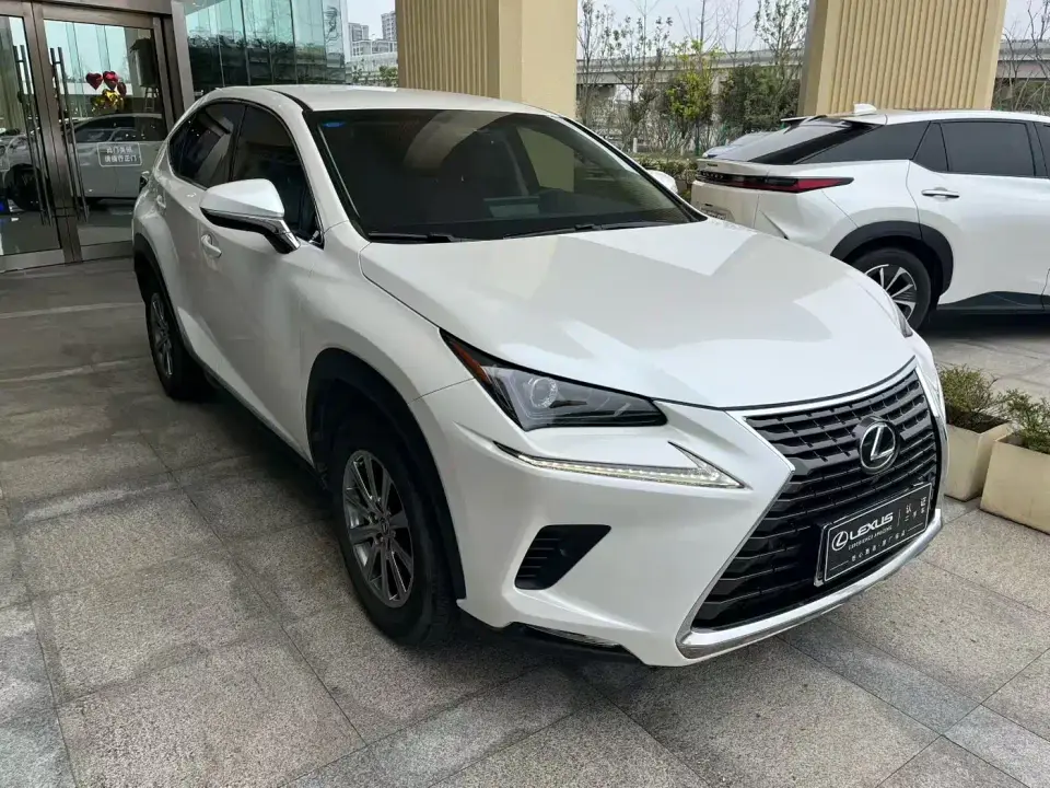 Lexus NX Model 300 FWD Fengxing Edition 2019