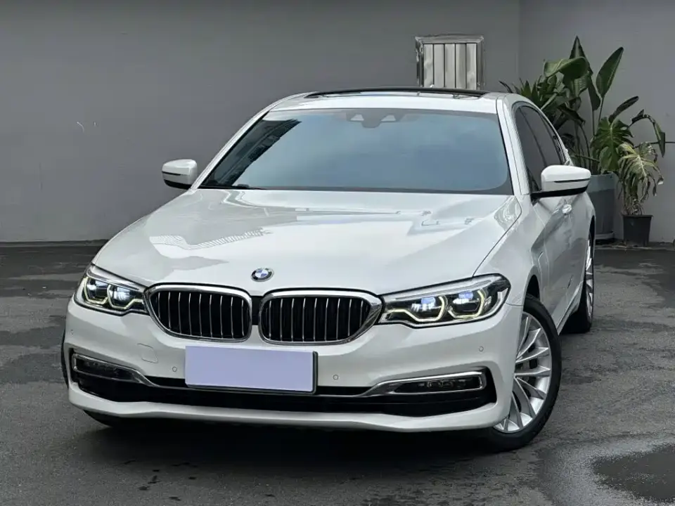 BMW 5 Series New Energy Facelift 530Le Luxury Package 2019