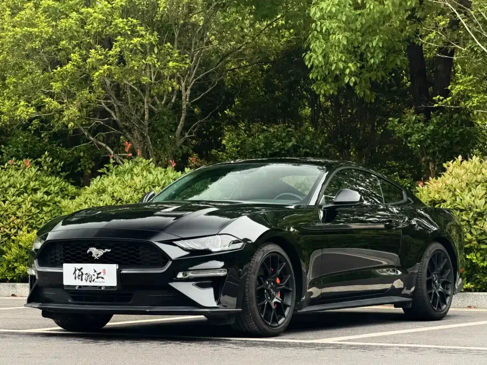 Ford Mustang 2.3L EcoBoost 2019