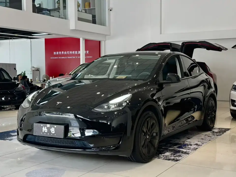 Tesla Model Y Rear-Wheel Drive Version 2022