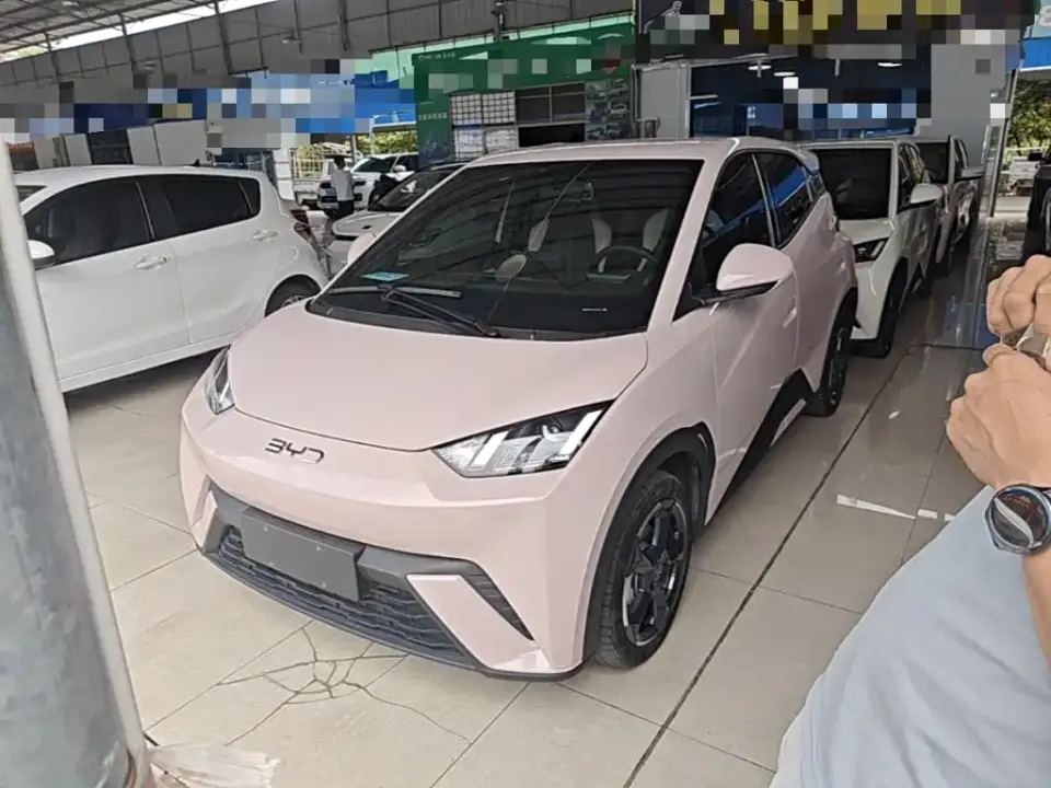 BYD Seagull Glory Edition 405km Soaring Edition 2024