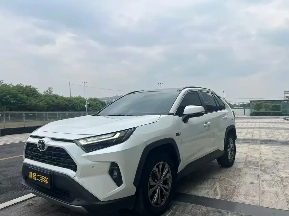 Toyota RAV4 Rongfang 2.0L CVT 2WD 20th Anniversary Platinum Edition 2023