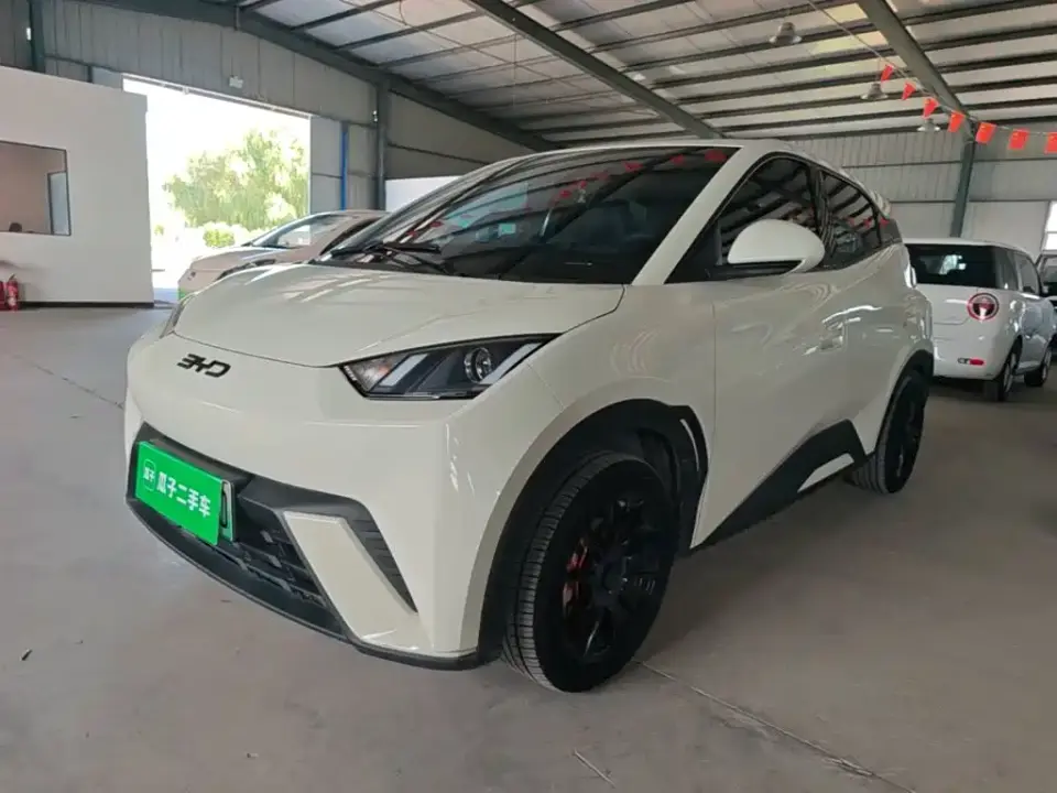BYD Seagull Glory Edition 305km Vitality Edition 2024