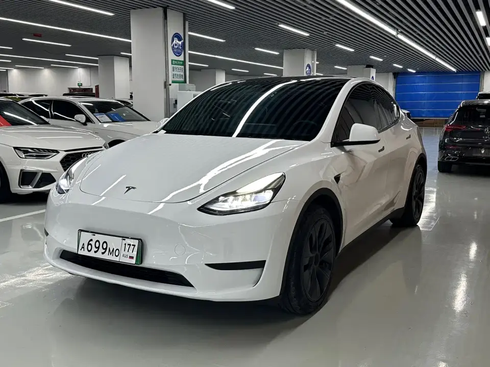 Tesla Model Y Rear-Wheel Drive Edition 2024