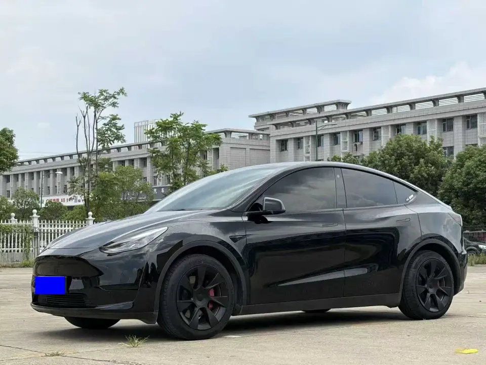 Tesla Model Y Rear-Wheel Drive Version 2022