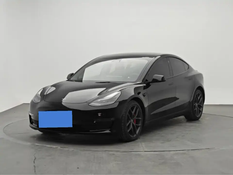 Tesla Model 3 Performance High-Performance All-Wheel Drive 3D6 2021