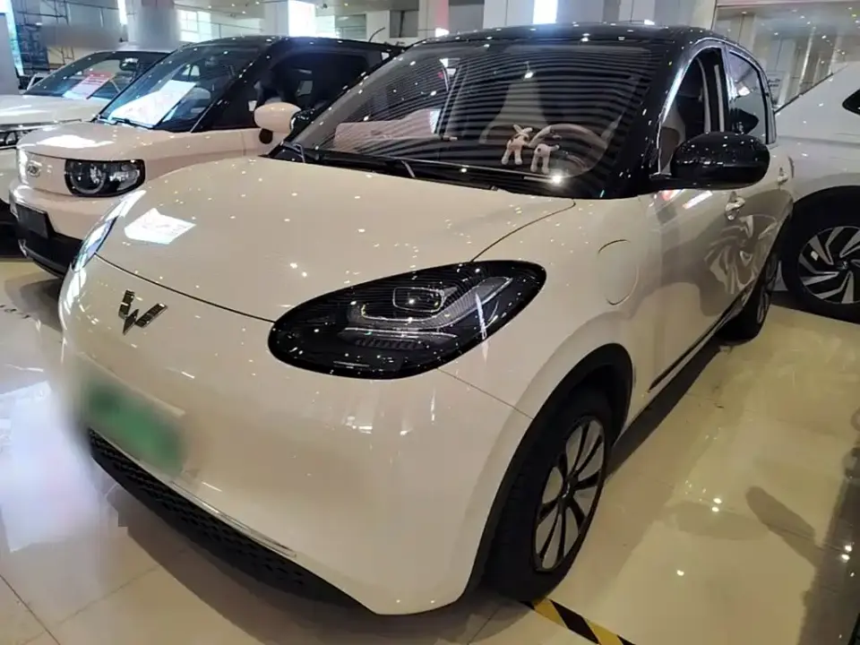 Wuling Motors Wuling Bingo Model 333km Joy Edition 2025