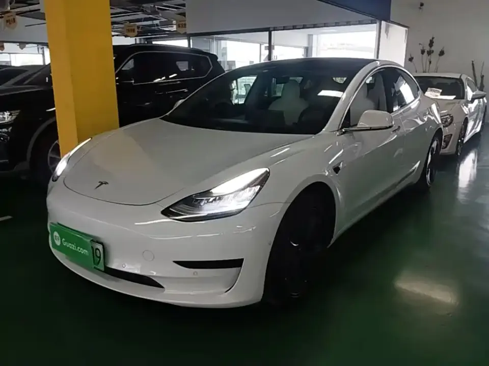 Tesla Model 3 (Import) Standard Range RWD Upgraded Edition 2019