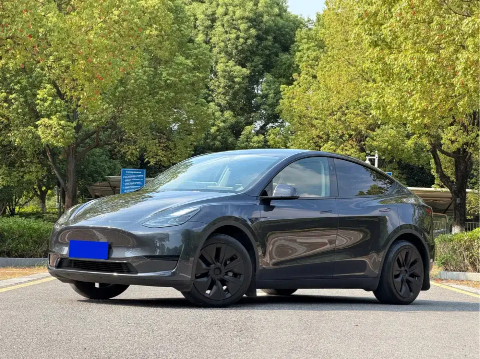 Tesla Model Y Rear-Wheel Drive Edition 2024