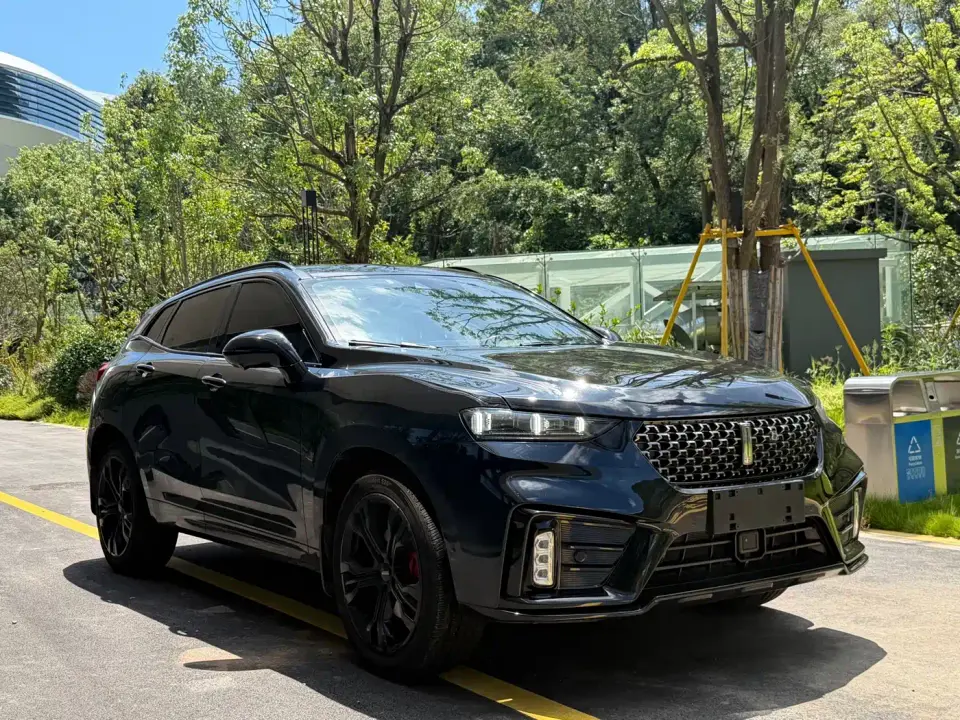 Wey VV7 Model 2.0T Technology Edition 2021