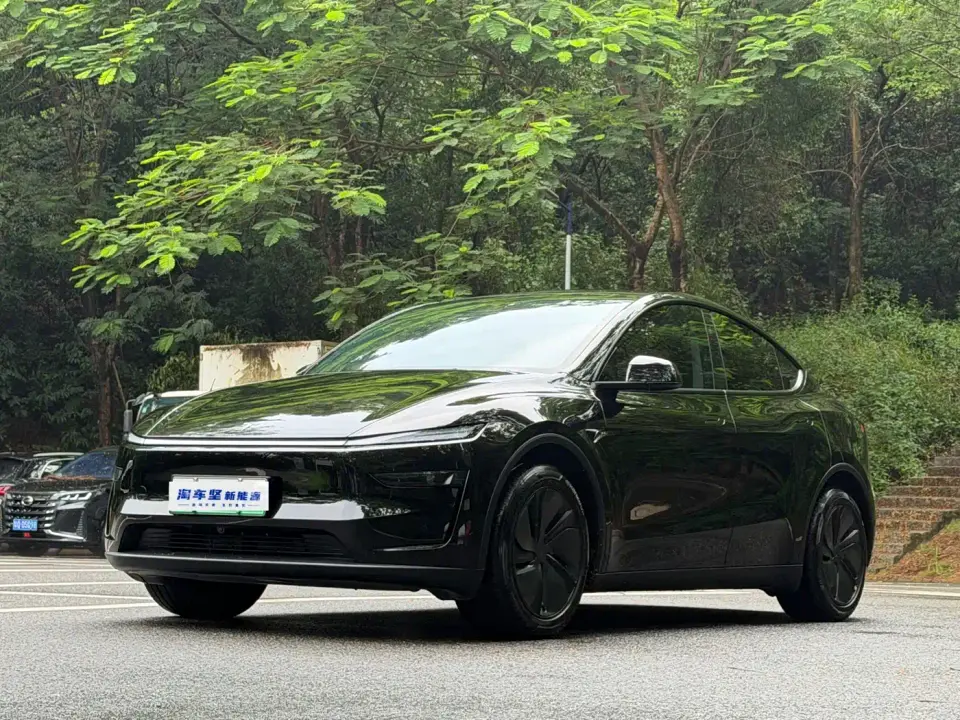 Tesla Model Y Long Range Rear-Wheel Drive 2026