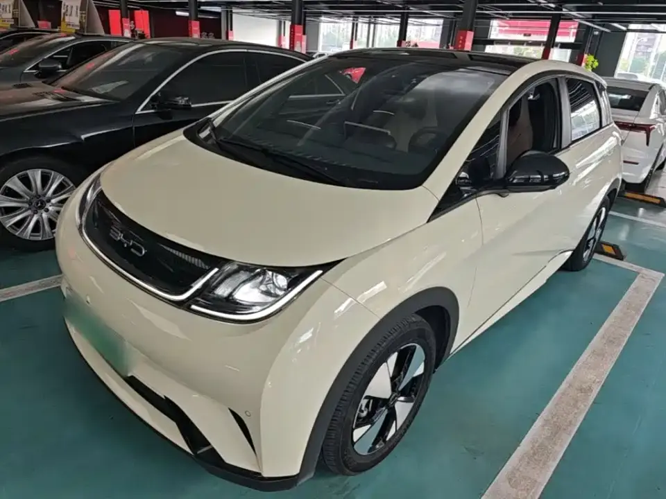 BYD Dolphin 420km Fashion Edition 2024
