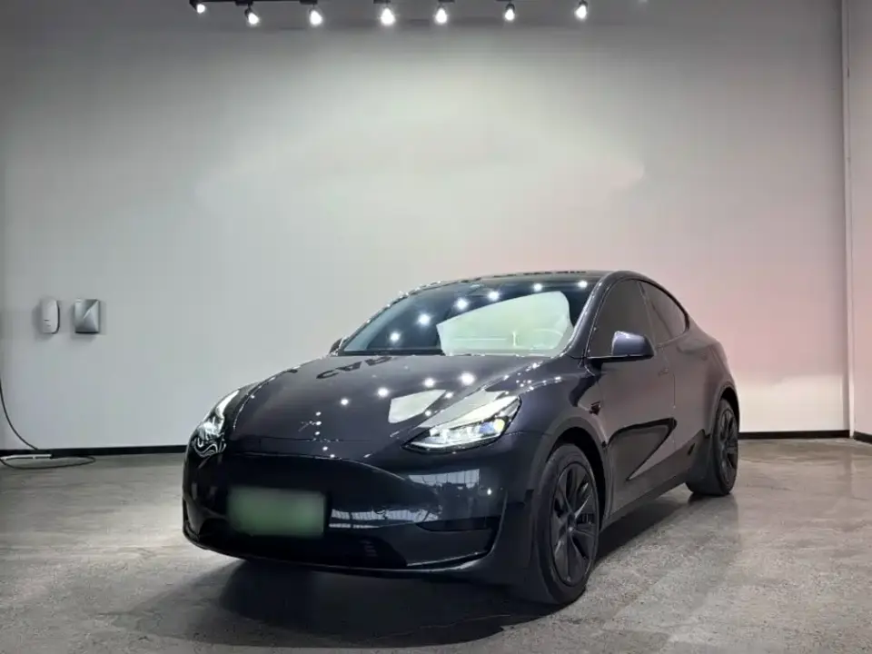 Tesla Model Y Rear-Wheel Drive Version 2024