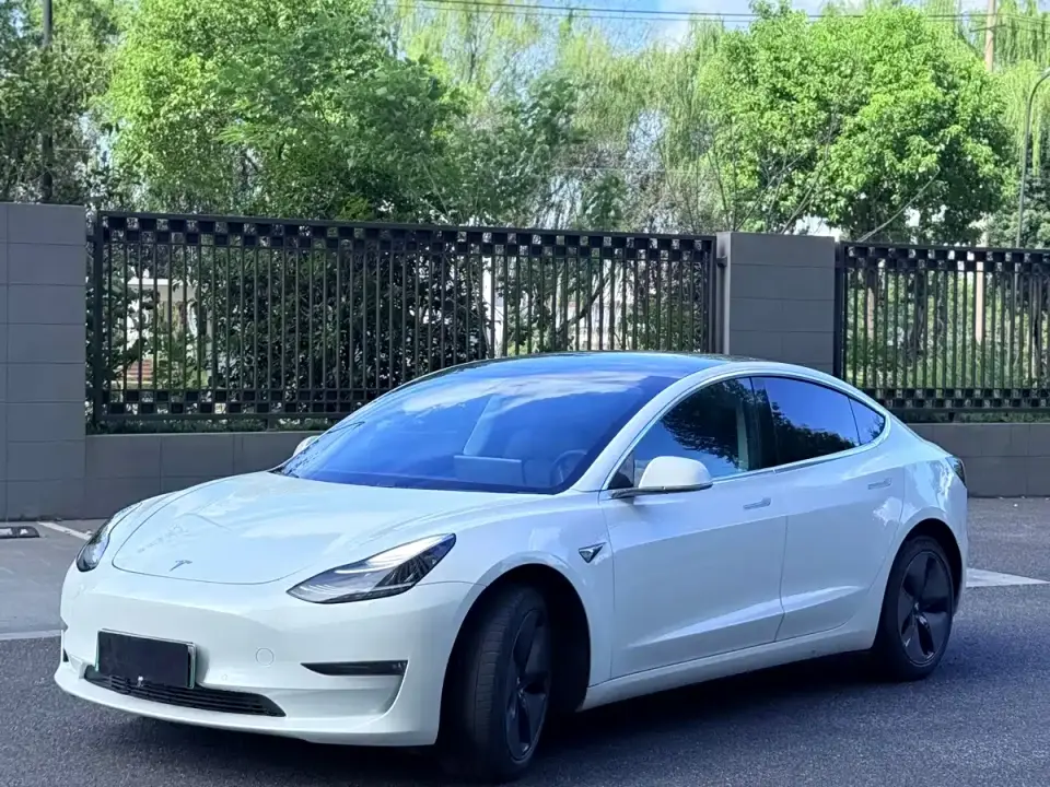 Tesla Model 3 (Import) Long Range RWD Version 2019