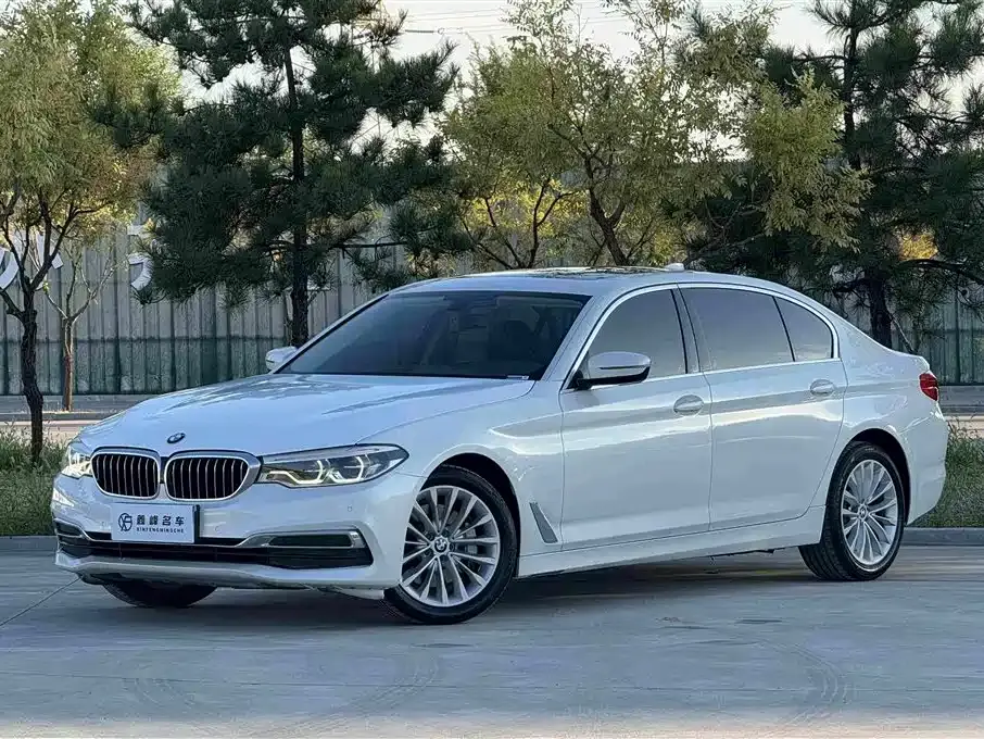 BMW 5 Series 530Li Leading Luxury Package 2020