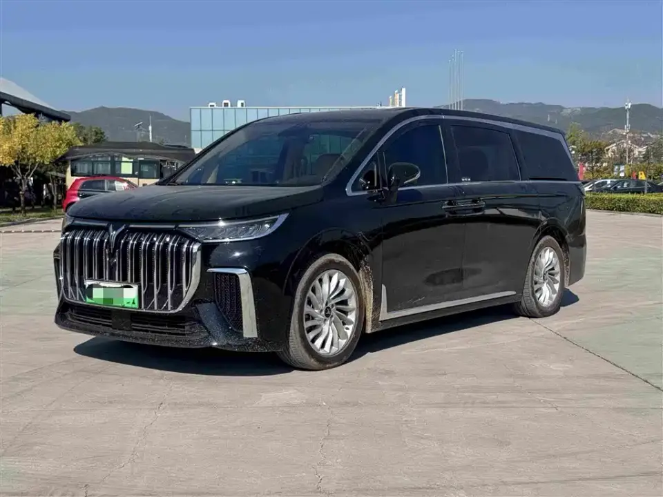 Voyah Auto Voyah Dreamer Low Carbon Edition Home 2024
