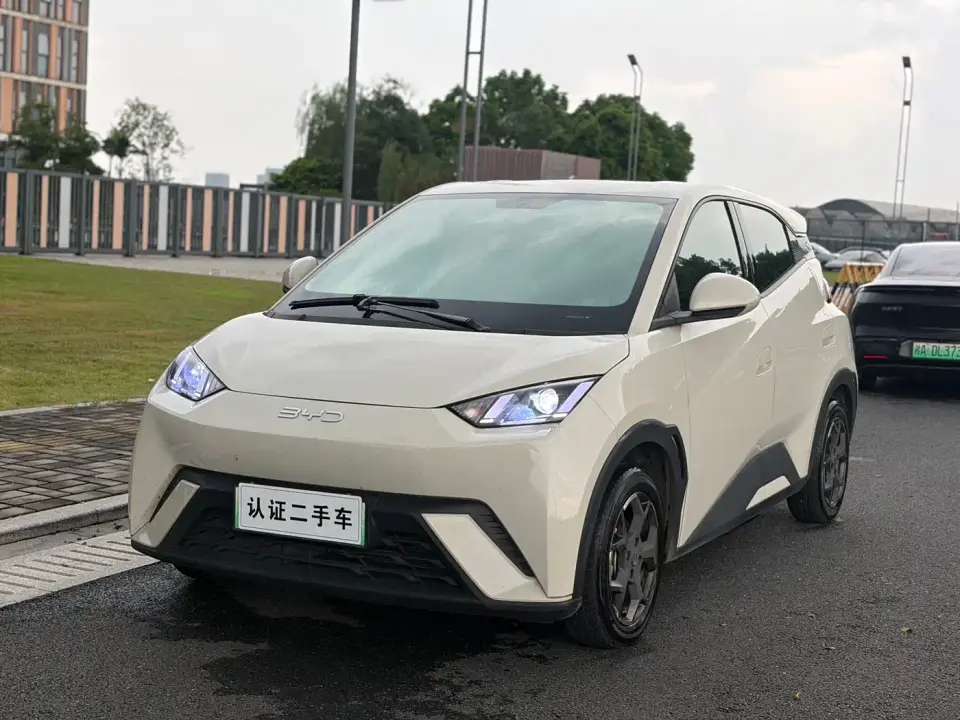 BYD Seagull Glory Edition 305km Vitality Edition 2024