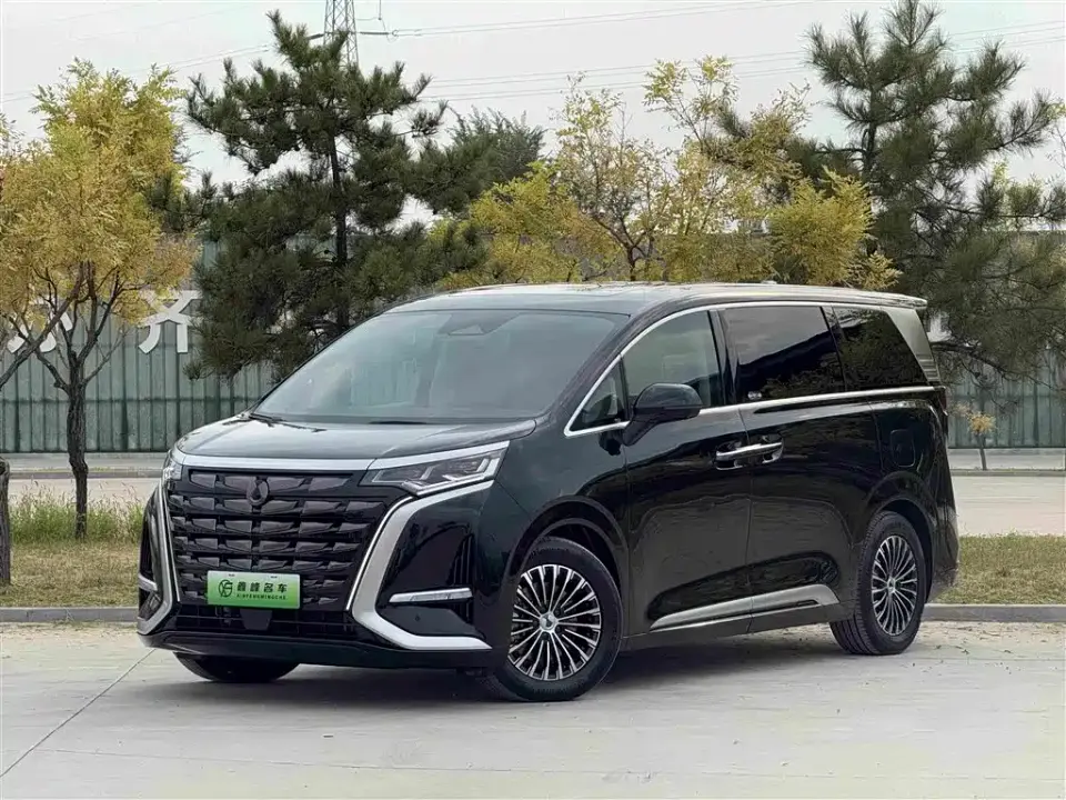 Denza D9 DM-i 980 AWD Prestige 2024