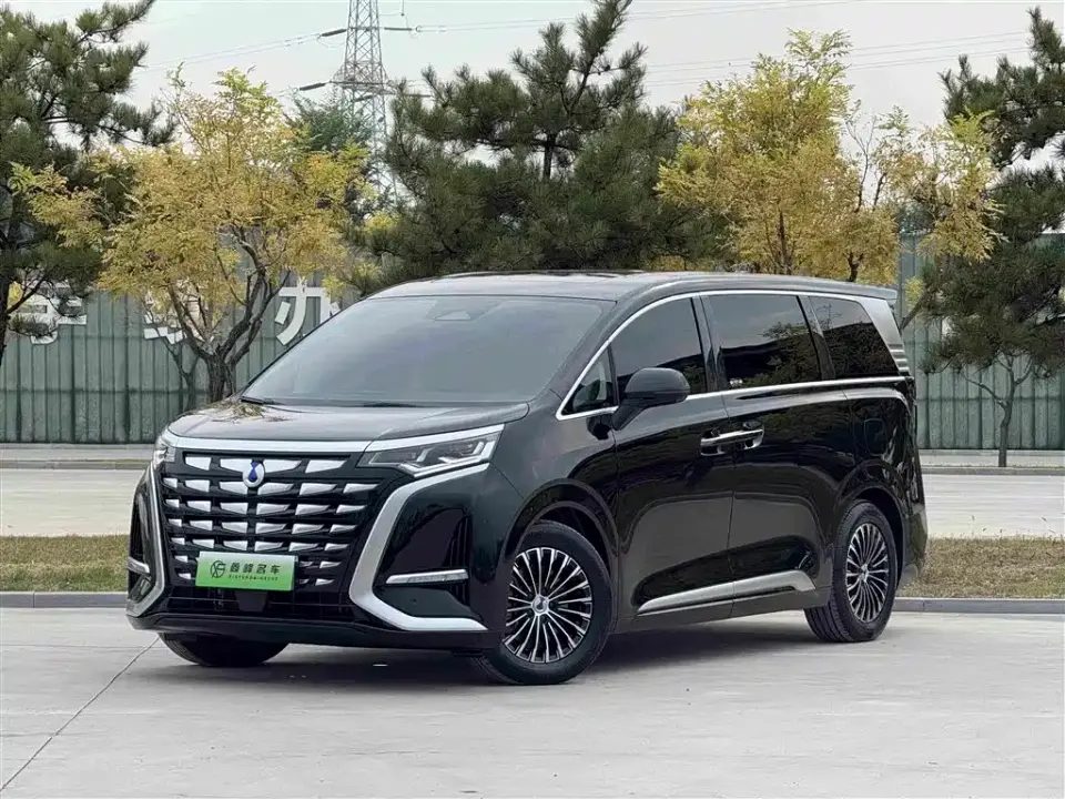 Denza D9 DM-i 980 AWD Premium 2025
