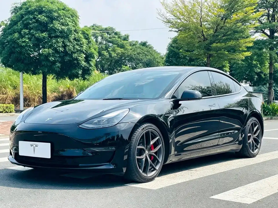 Tesla Model 3 Performance High-Performance All-Wheel Drive 3D6 2021