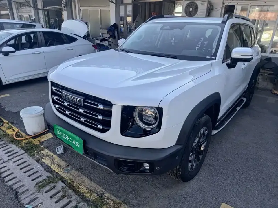 Haval Big Dog 2.0T DCT AWD Howling Celestial Dog Edition 2021