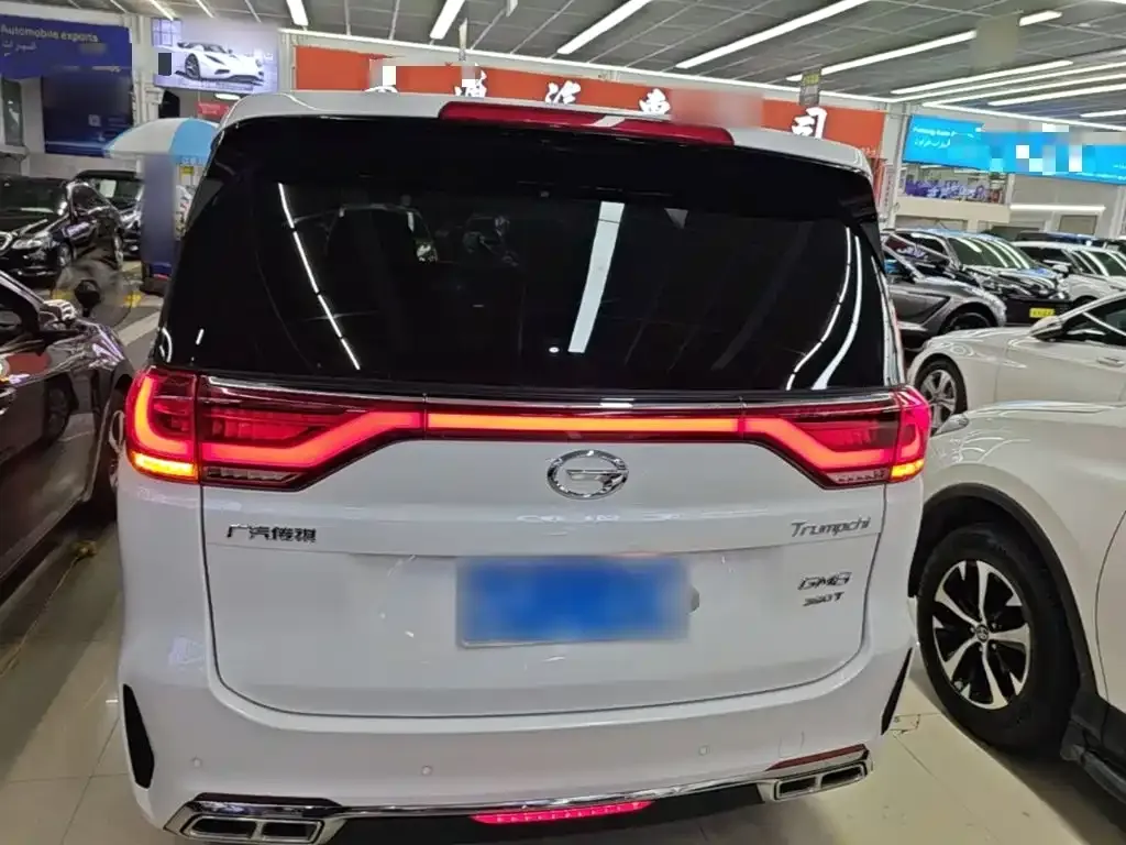GAC Trumpchi M8 Pilot 390T Premium Edition 2020 — фото 6
