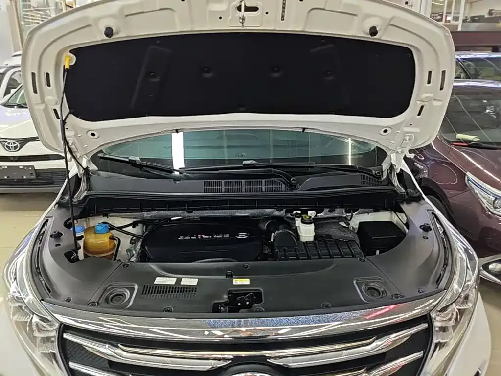 GAC Trumpchi M8 Pilot 390T Premium Edition 2020 — фото 20