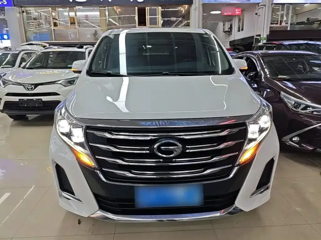 GAC Trumpchi M8 Pilot 390T Premium Edition 2020 — фото 3