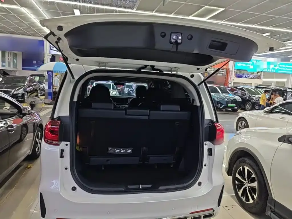 GAC Trumpchi M8 Pilot 390T Premium Edition 2020 — фото 19