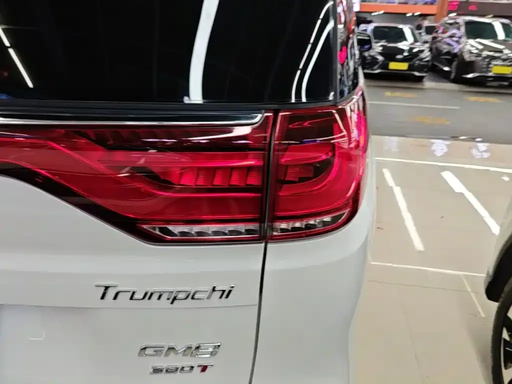 GAC Trumpchi M8 Pilot 390T Premium Edition 2020 — фото 8