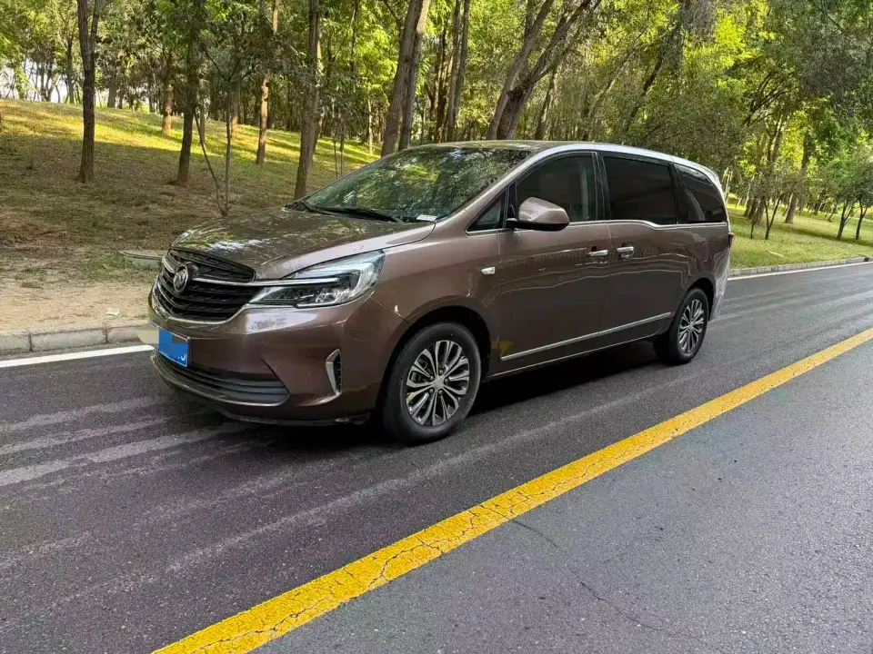 Buick GL8 Land Business Class 652T Luxury 2021