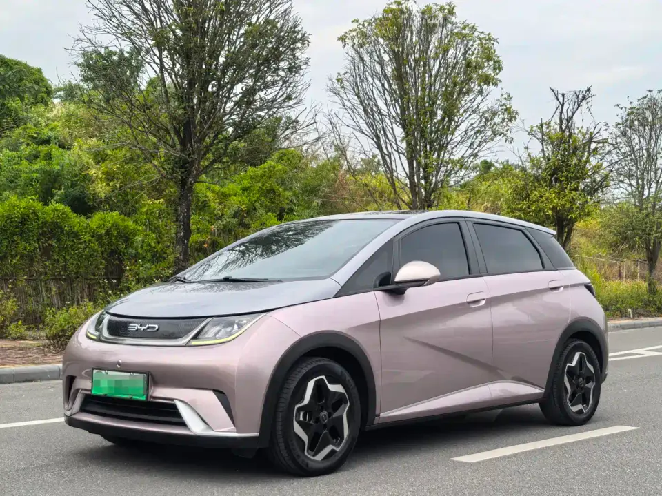 BYD Dolphin Model 405km Fashion Edition 2022