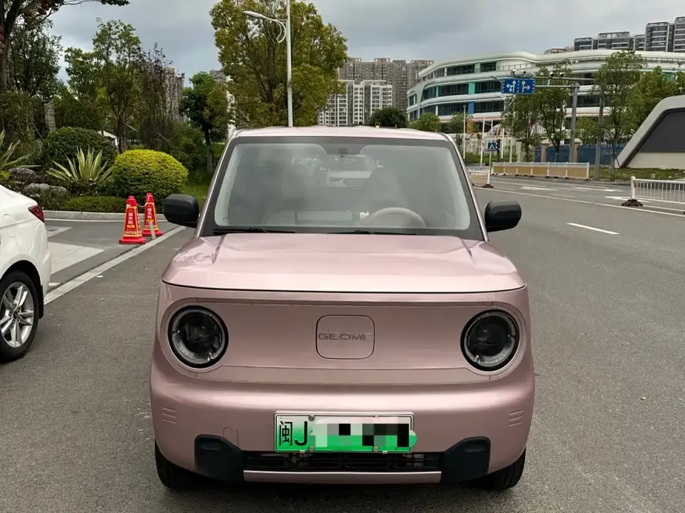 Geely Galaxy Panda Panda Mini 200km Endurance Bear 2023