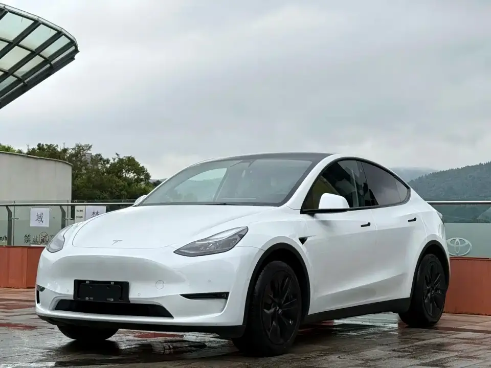 Tesla Model Y Long Range AWD 2021