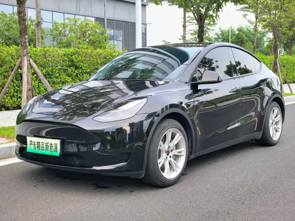 Tesla Model Y Rear-Wheel Drive Version 2022
