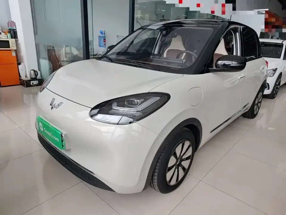 Wuling Motors Wuling Bingo 333km Comfort Edition 2024