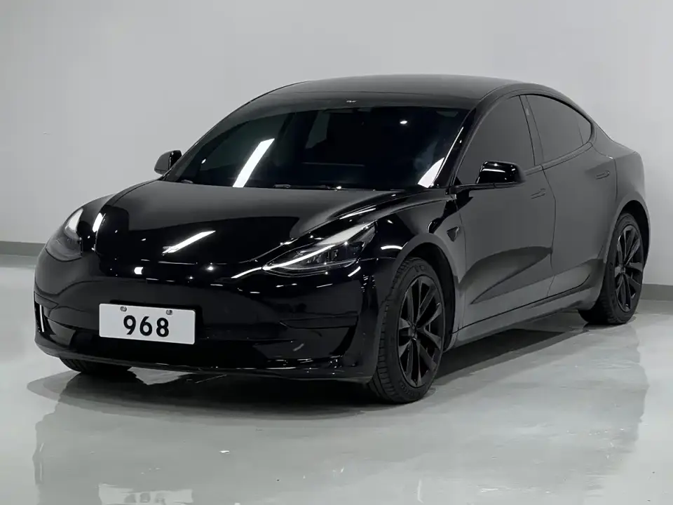 Tesla Model 3 Model Rear-Wheel Drive Version 2023