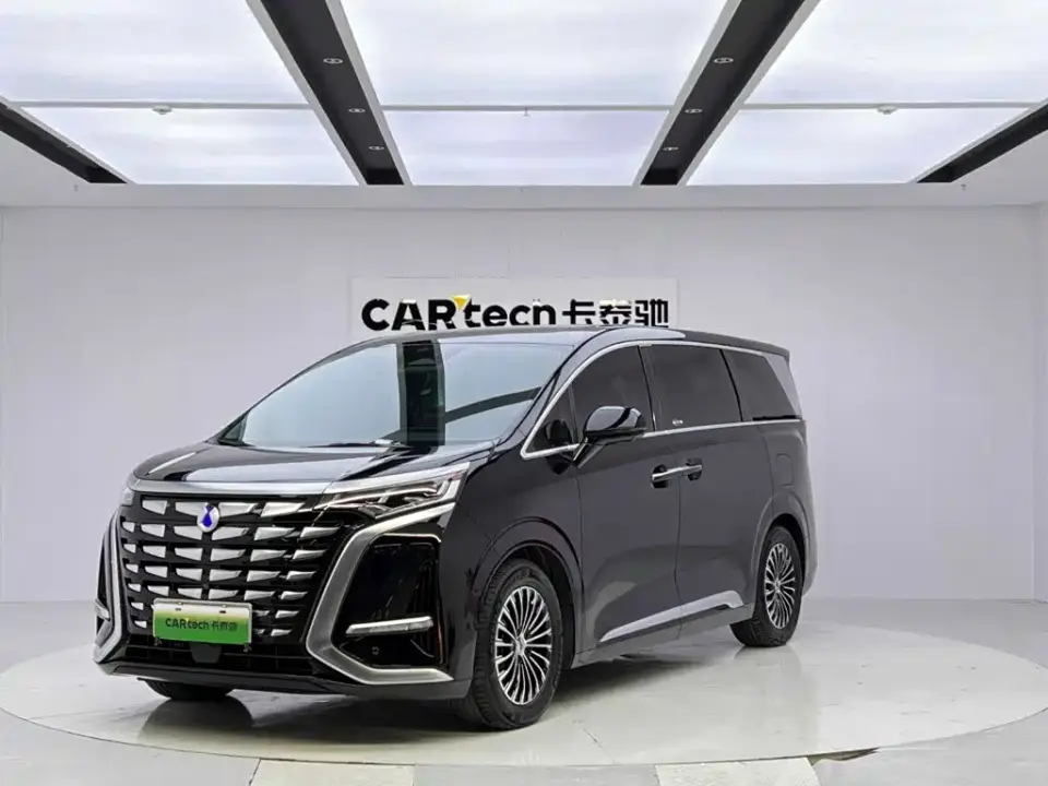 Denza D9 DM-i 980 AWD Flagship 2024