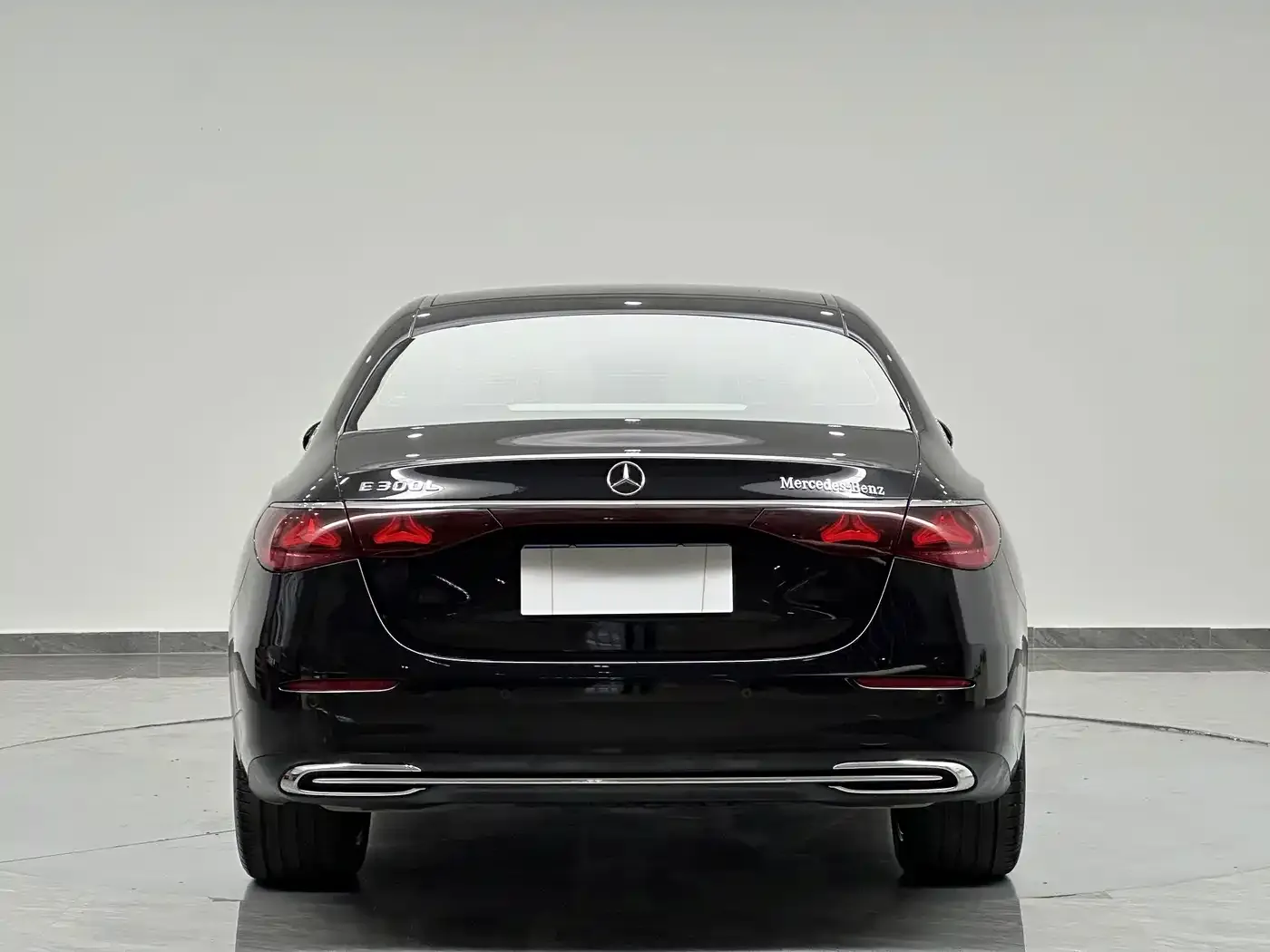 Mercedes-Benz E-Class E 300 L Luxury 2025 — фото 8