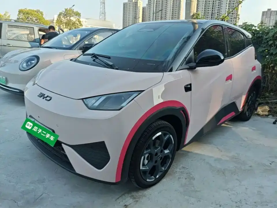 BYD Seagull Smart Drive Edition 305km Freedom Version 2025