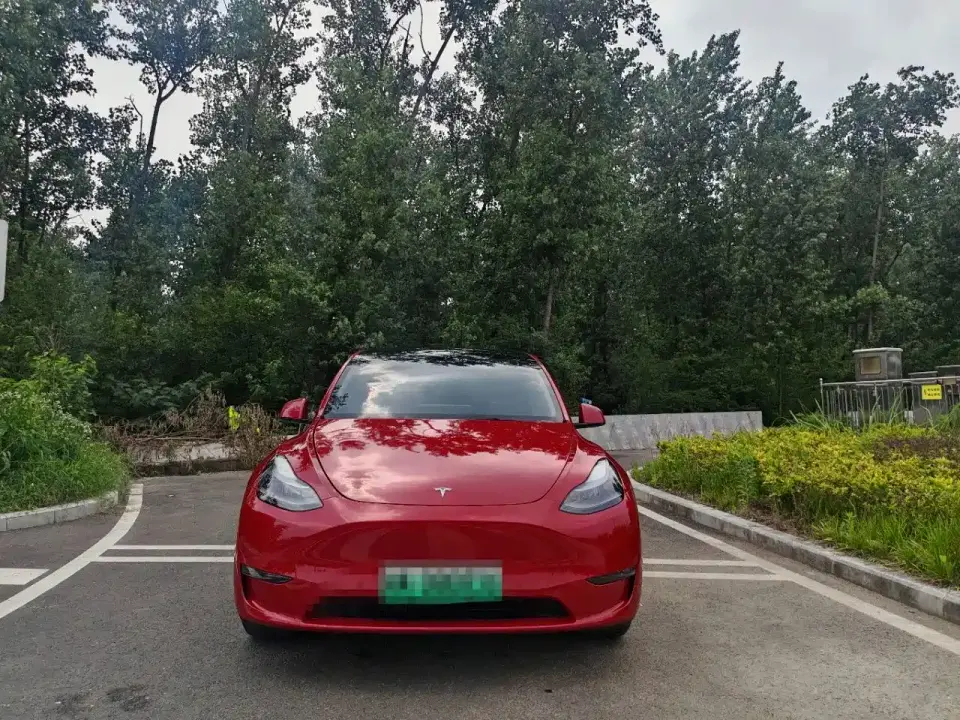 Tesla Model Y Standard Range Rear-Wheel Drive 2021