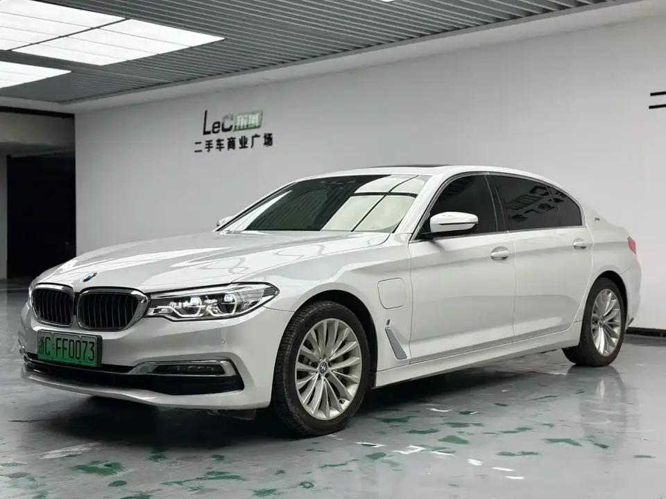 BMW 5 Series New Energy 530Le Luxury Package 2019