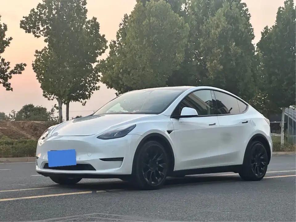 Tesla Model Y Model Long Range AWD 2021