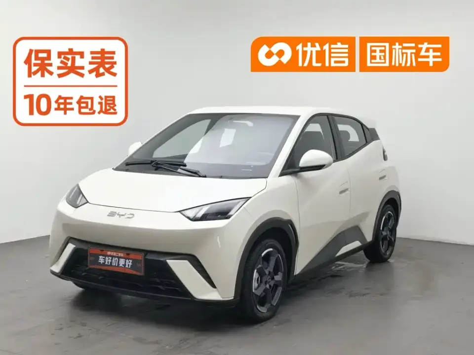 BYD Seagull Flying Edition 2023