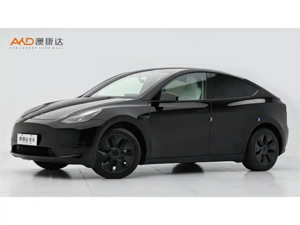 Tesla Model Y Rear-Wheel Drive Edition 2024