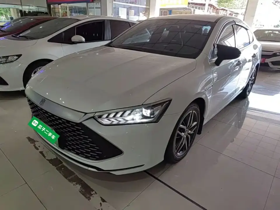 BYD Qin PLUS DM-i 55KM Flagship 2021