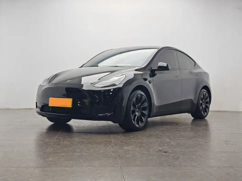 Tesla Model Y Rear-Wheel Drive Version 2022