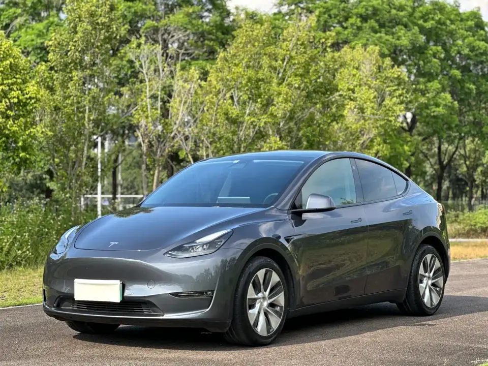 Tesla Model Y Model Long Range AWD 2021