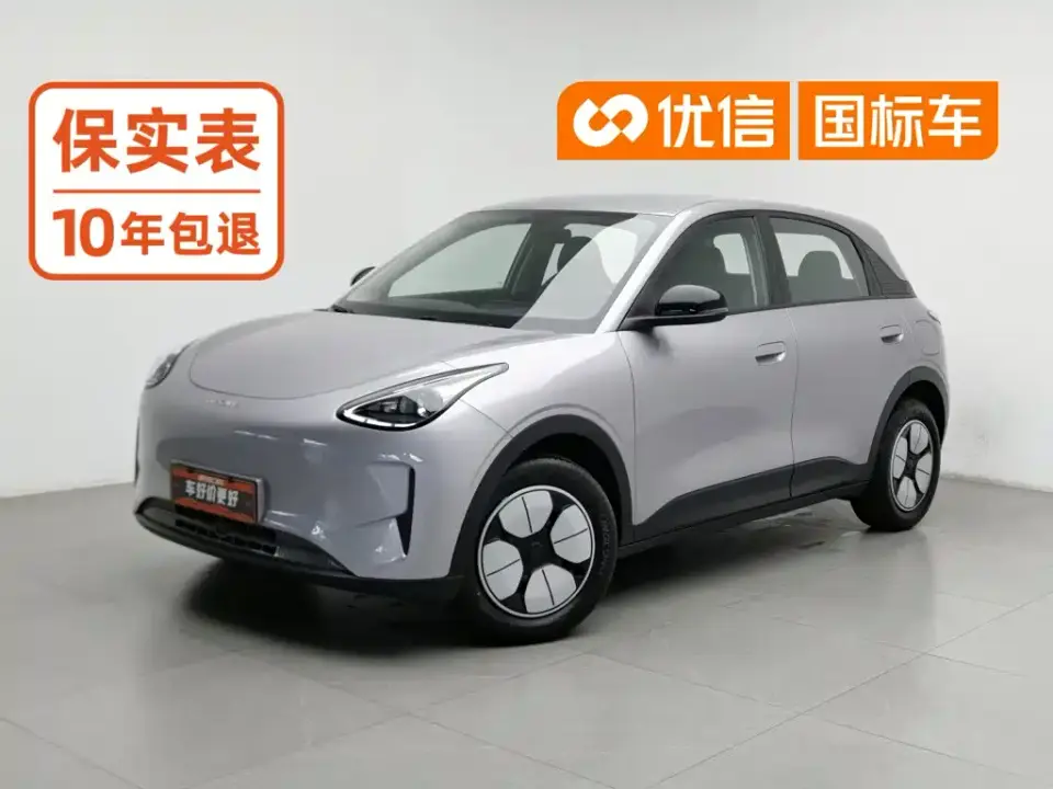 Geely Galaxy Starry Wish 310km Youth Edition 2025