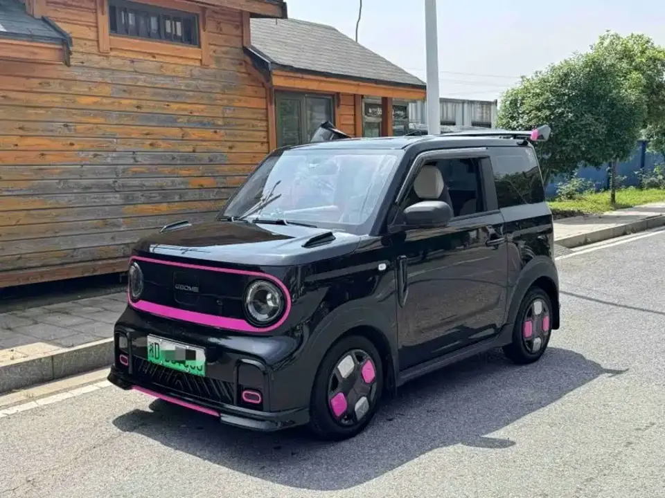 Geely Galaxy Panda Model Year 210km Panda Kart 2025